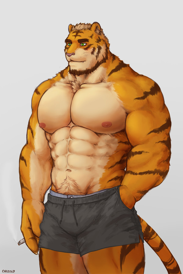 Big cat