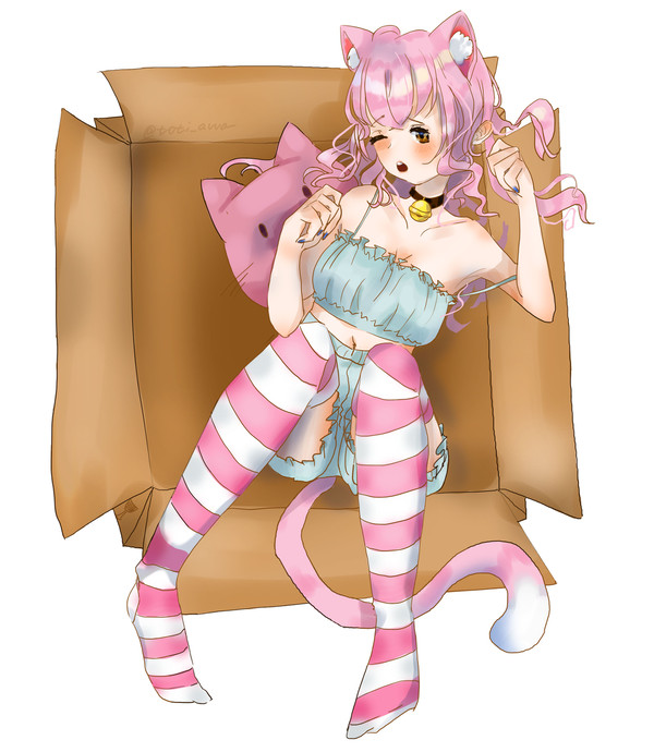 箱の中の猫