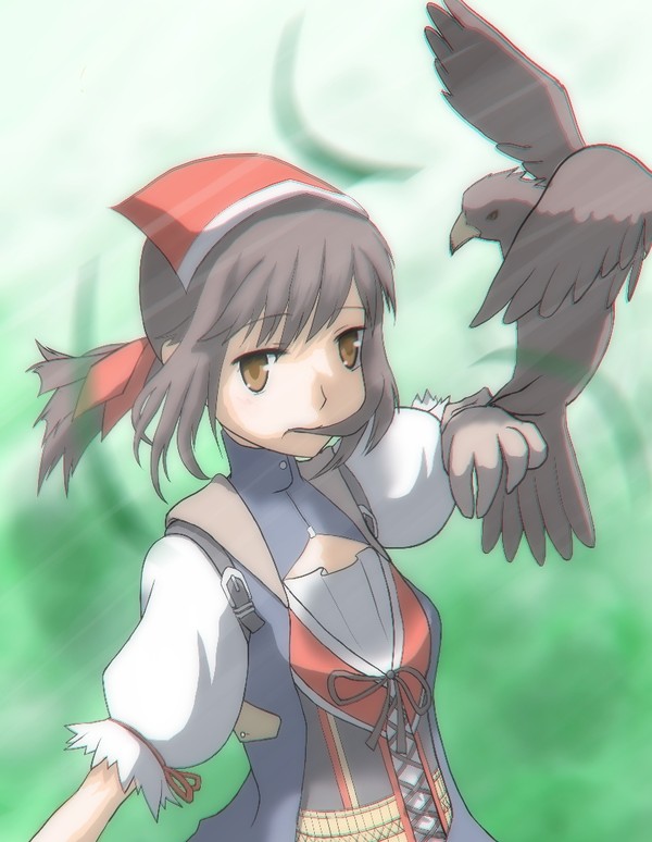 ファルコン