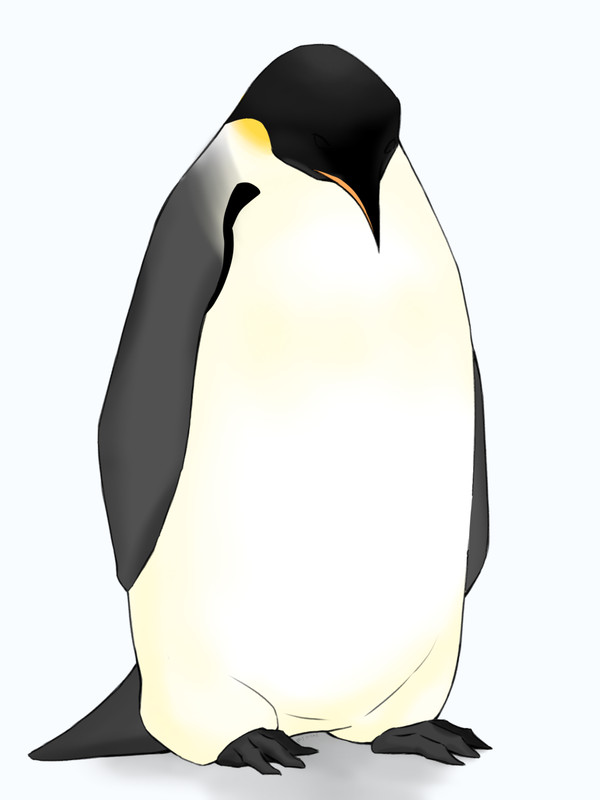 ペンギン6日分