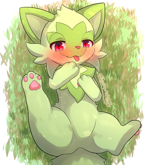 ニャオハ！！