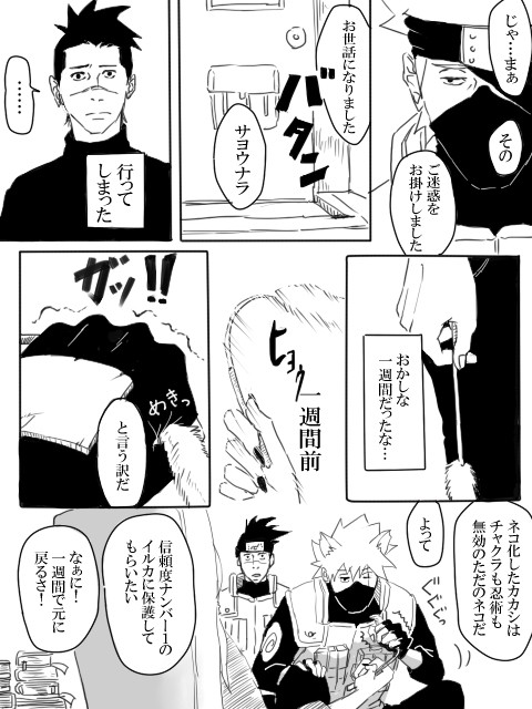 保護上忍