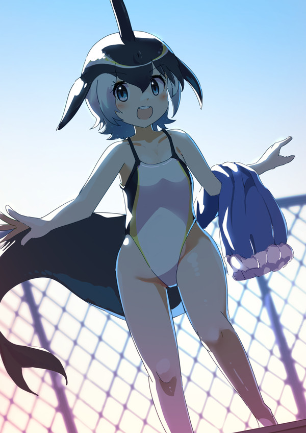 マイルカ