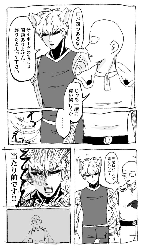 ジェノサイ