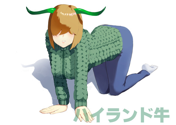 ハイランド牛