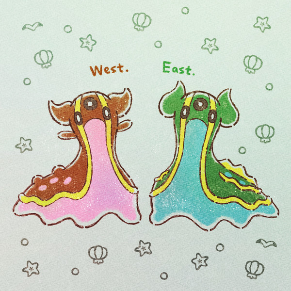 トリトドン