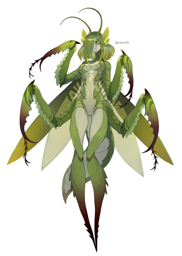 カマキリちゃん