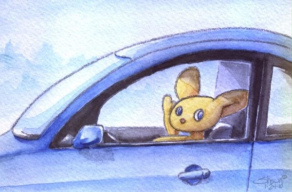 Skyler takes a drive