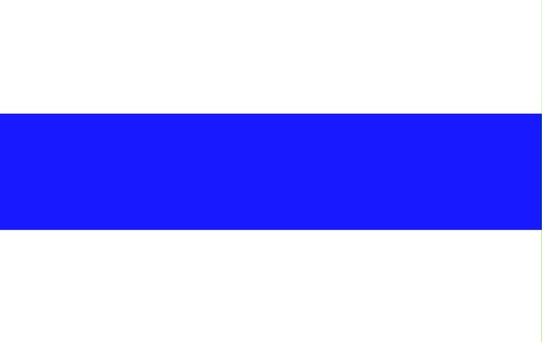 New russian flag no red color