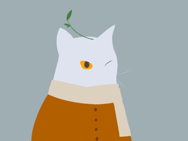 朋友的猫。