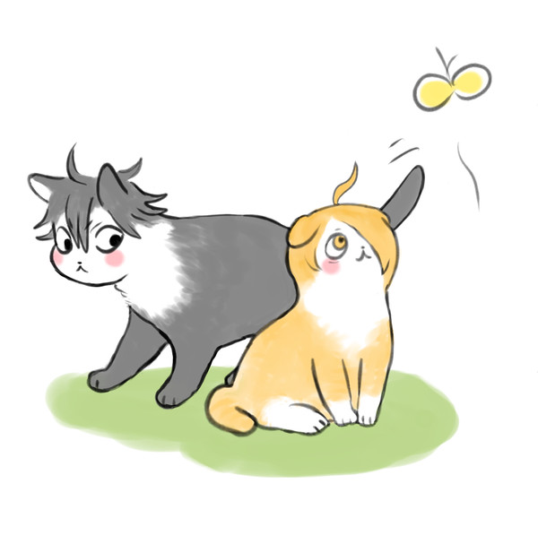 猫の日のろたた