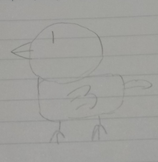 ただのとり