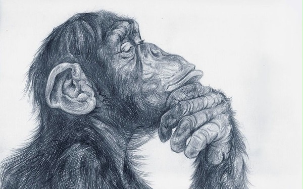 monke think