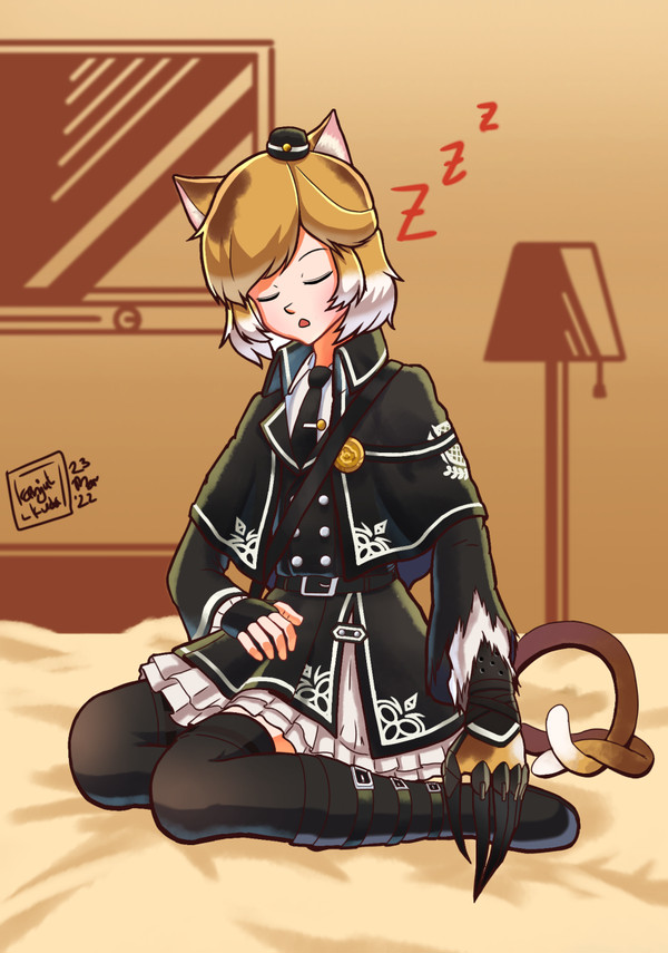 Mousse Schleep