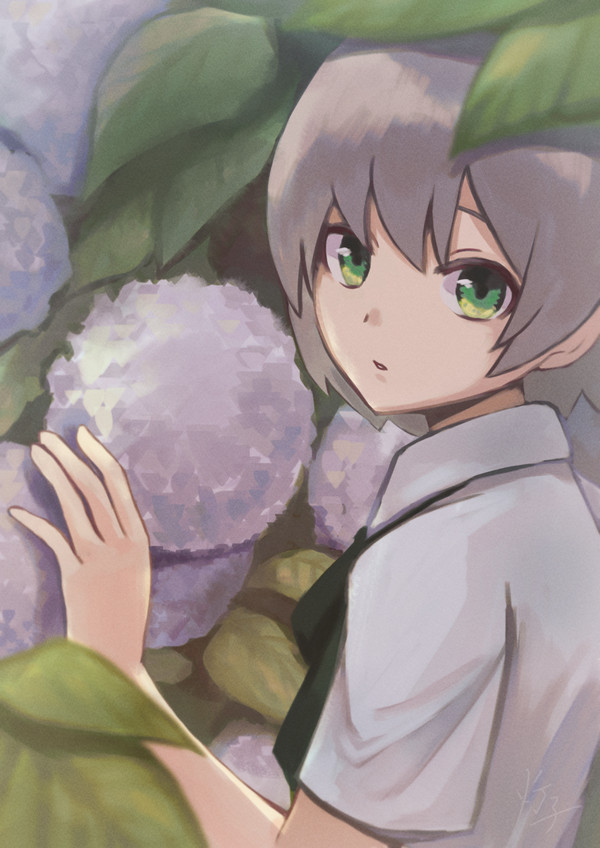 紫陽花
