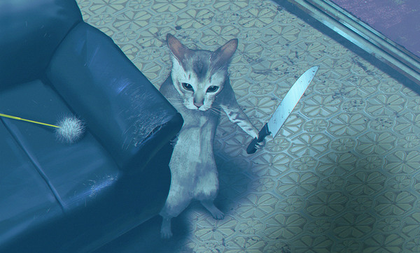 猫又