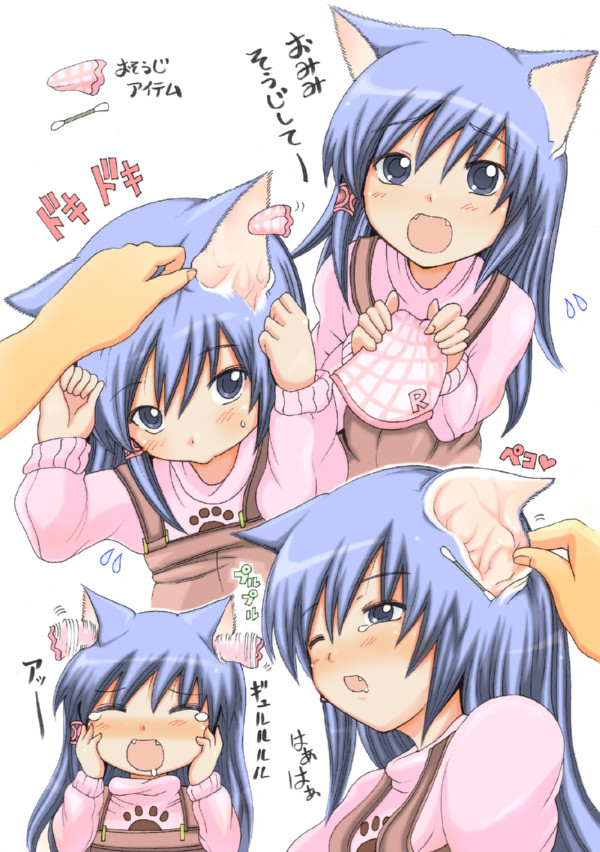 ぬこのみみそうじまとめ