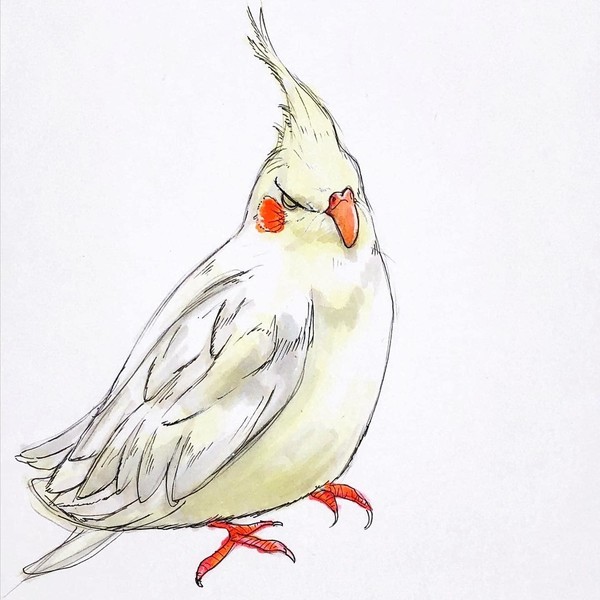 玄鳳