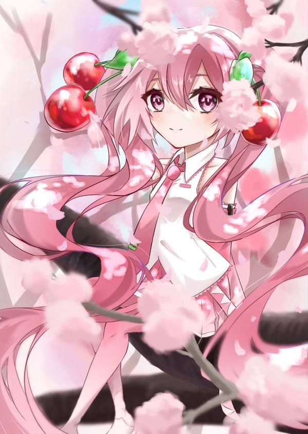 桜の季節