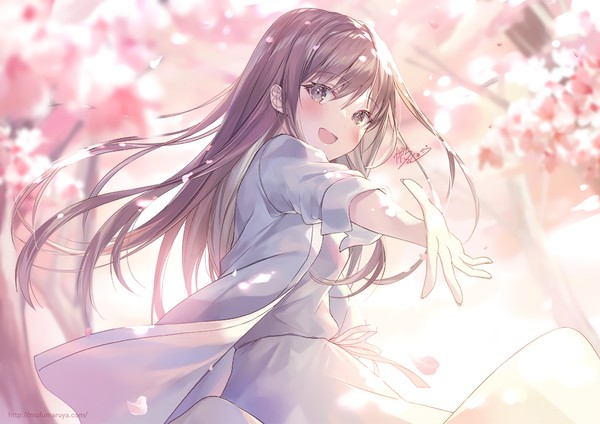 🌸 - 1/1