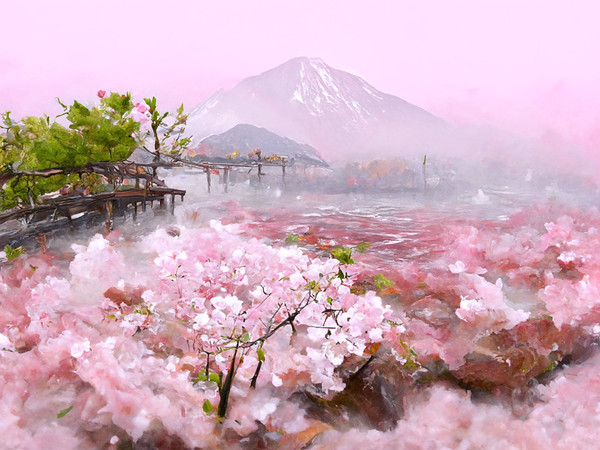 湖畔の桜 - 1/1