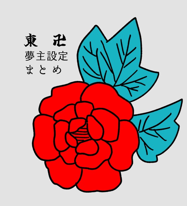 東卍夢主設定