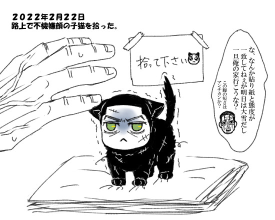 おじさん(杢)とねこ(月)と、ねこに恋するお医者さん(尾)