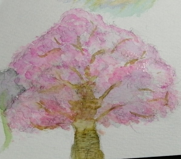 【🌸桜の木🌸】