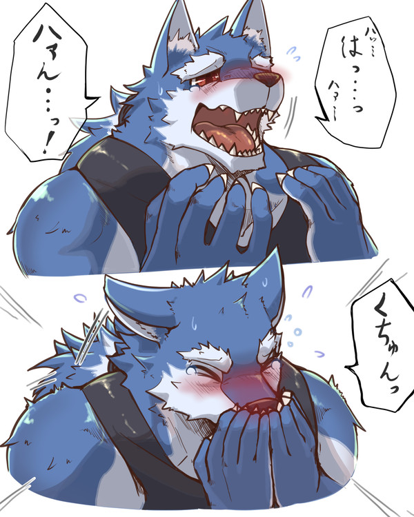 女の子になりたいオスケモ兄さん・キキョウくん11