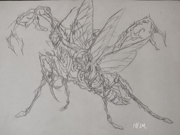 螳螂