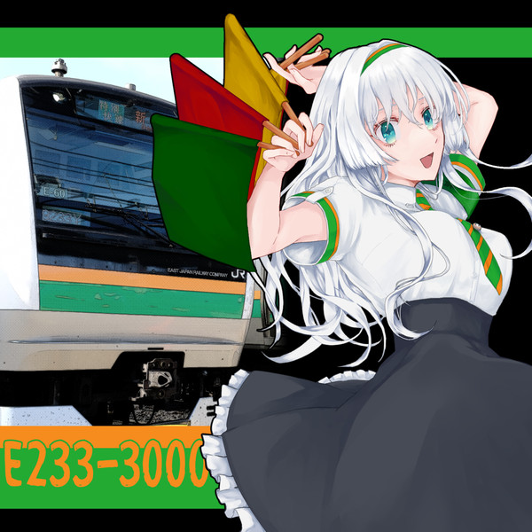 E233系3000代(国府津)