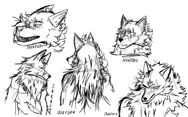 sketch