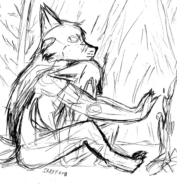 sketch