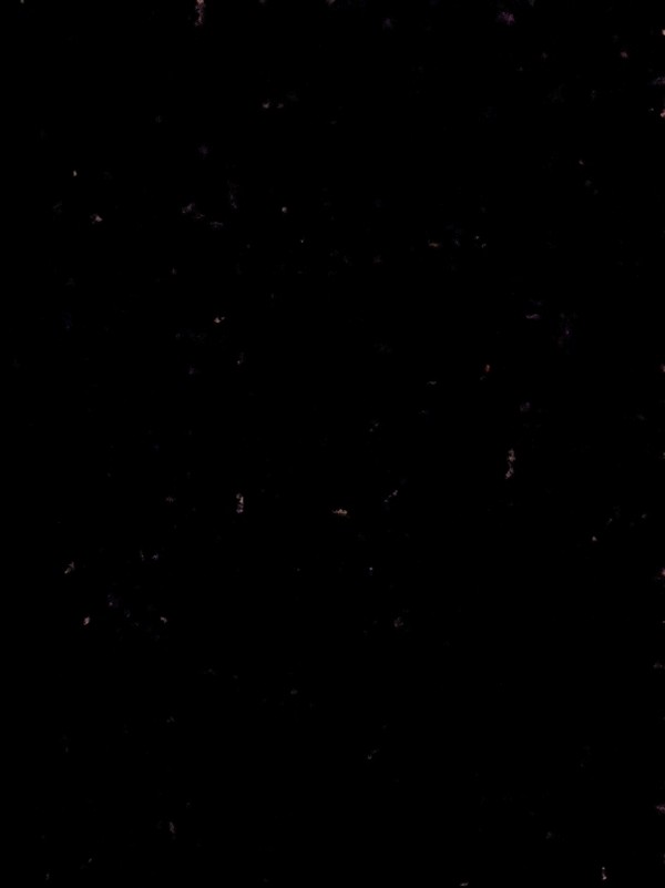 Stars