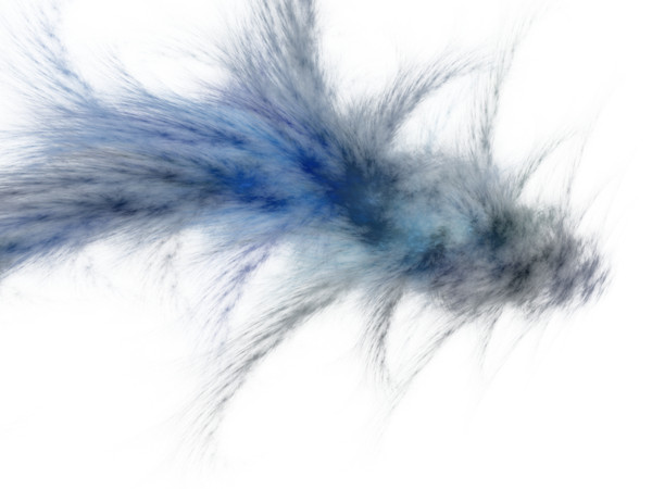 Feather