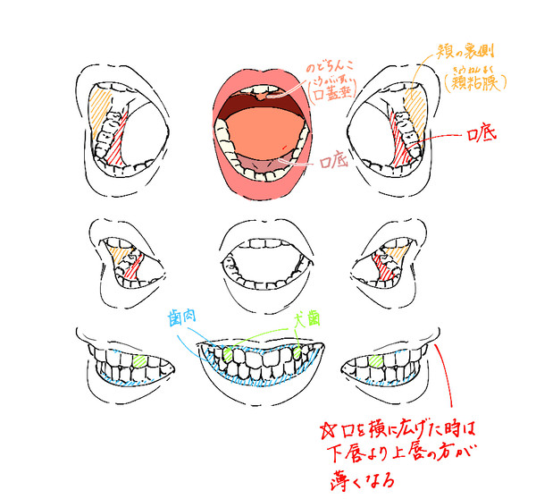 開いた口と角度諸々