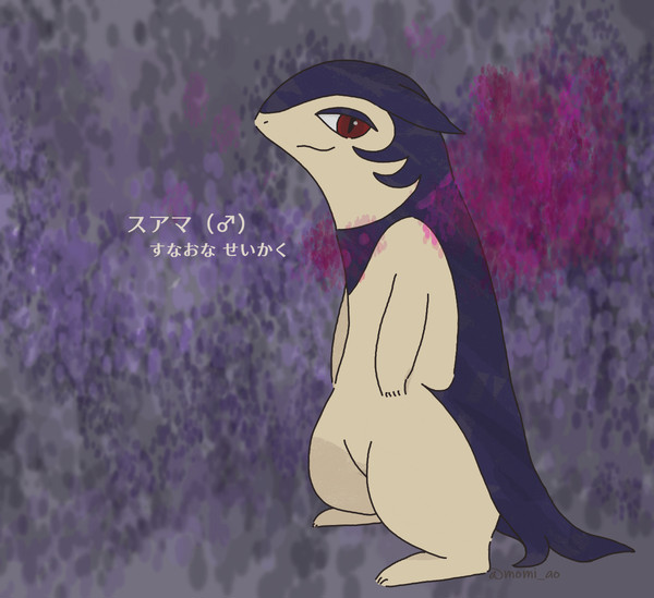 手持ちポケ① スアマ
