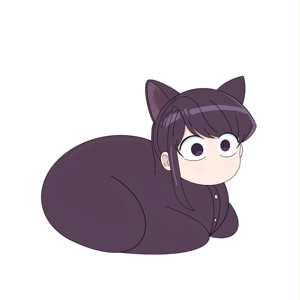 Komi cat loaf