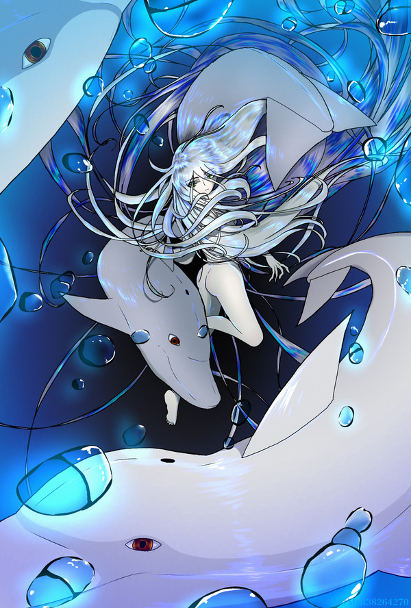 いるかちゃん