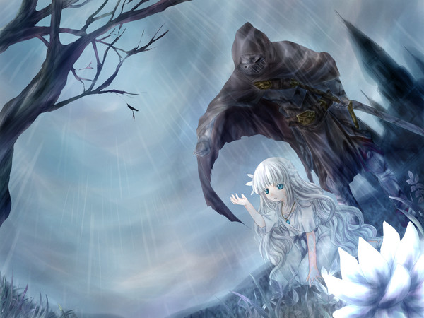 雨