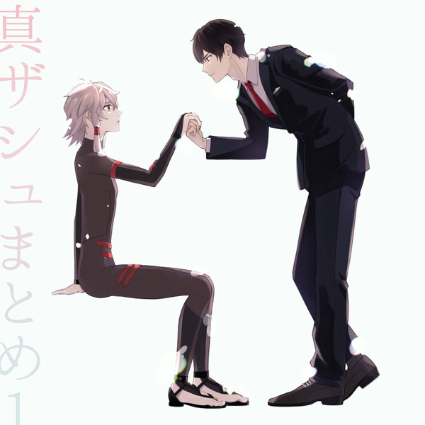 真ザシュまとめ1