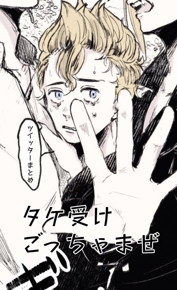 タケ受けいろいろ