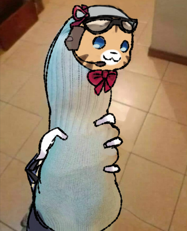 El Gato.