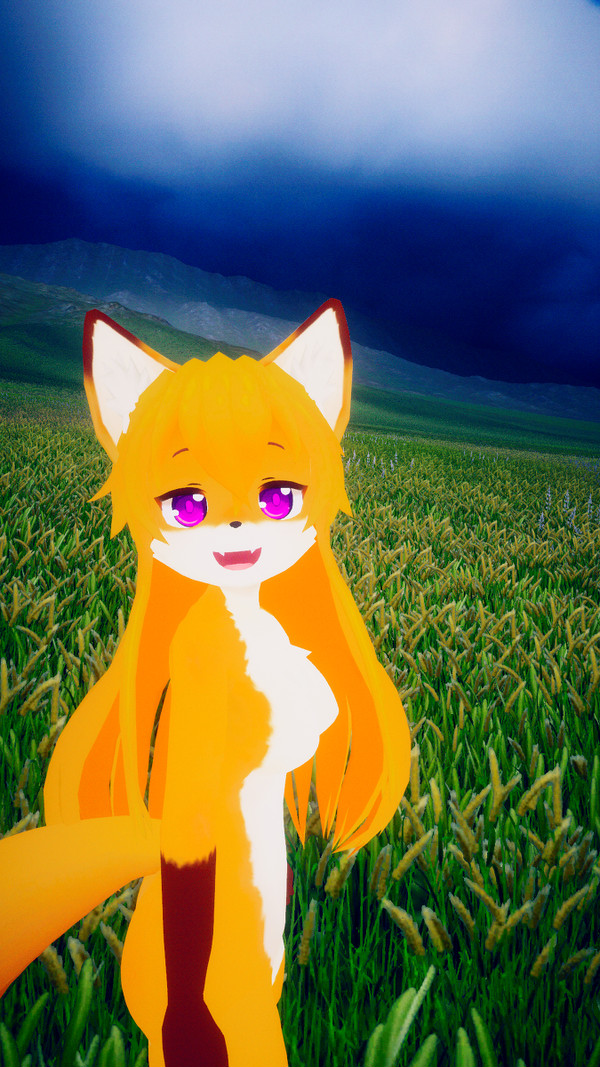 Grassy field view 2