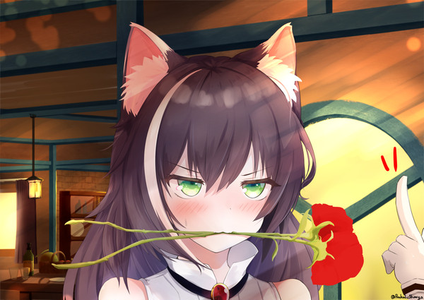 フキゲンキャルちゃん