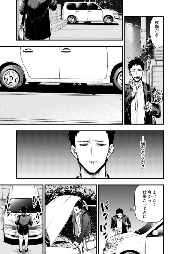 俺の車の下には猫がいる