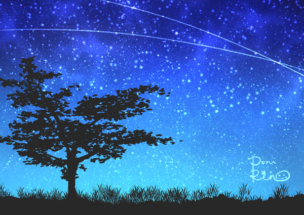 夜空／Night Sky