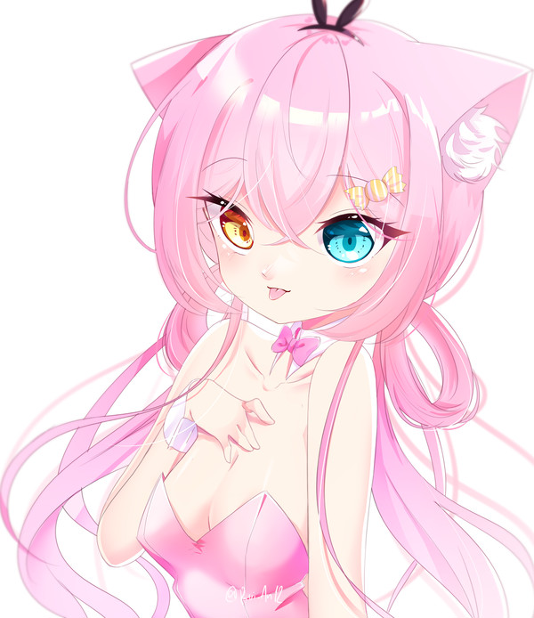 CandyCat Bunny