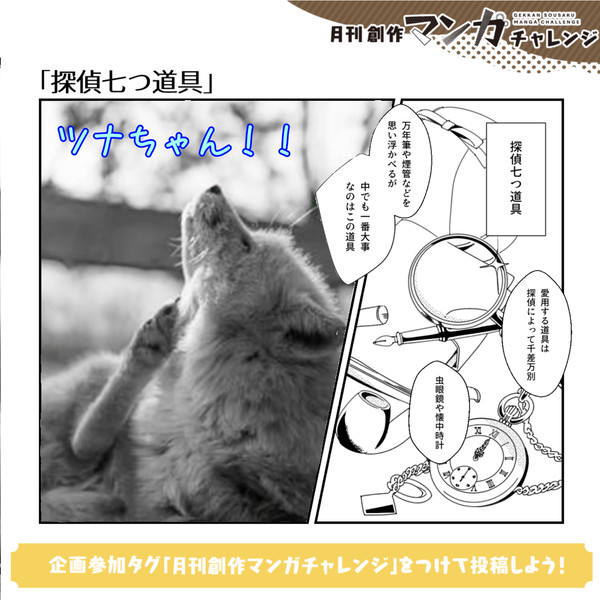 萩原さん家のナレギツネ『ツナちゃん』