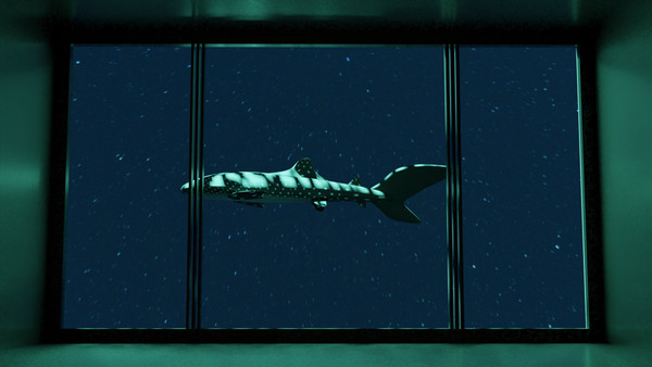 星の水槽